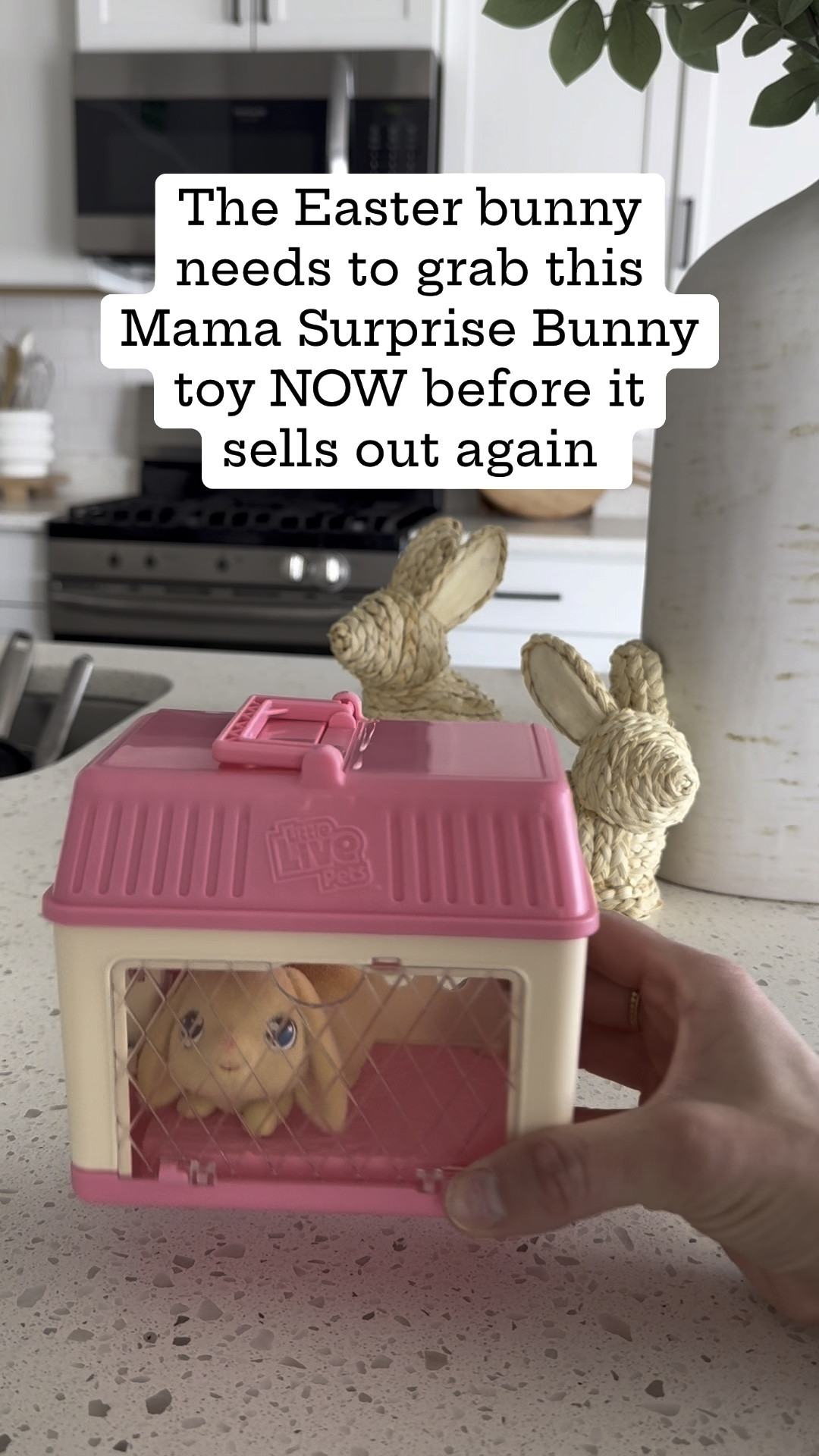 Get this while it’s in stock! Cutest Easter basket filler 

#LTKSeasonal #LTKkids #LTKVideo