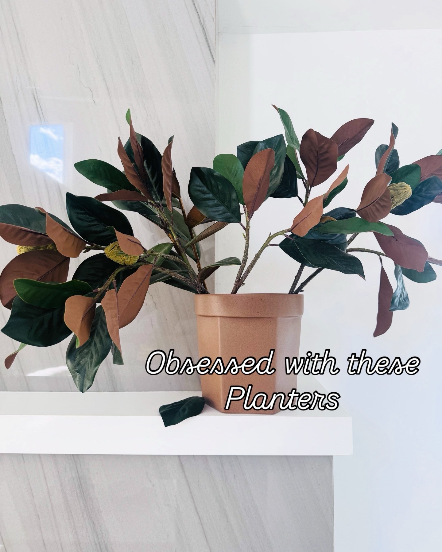 Top Finds from Target , I’m obsessed with !

#LTKHome #LTKSeasonal #LTKValentine