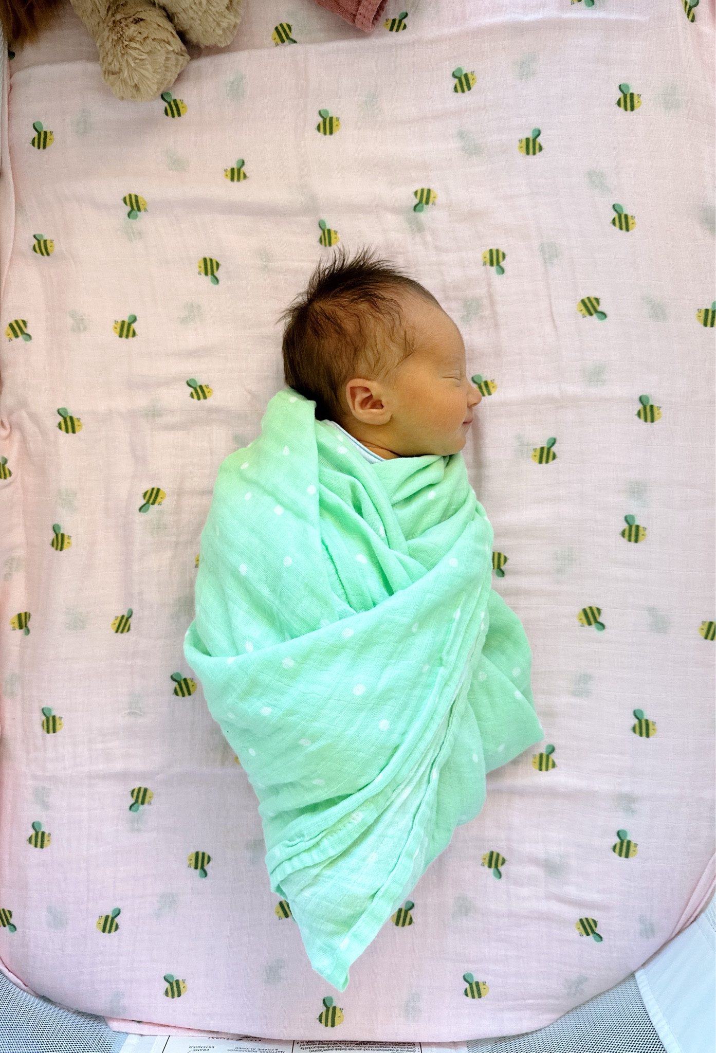 these adorable target swaddles have been a fav🥹 we use them to swaddle and as a little cute sheet for the bassinet. 

#LTKfamily #LTKbaby
