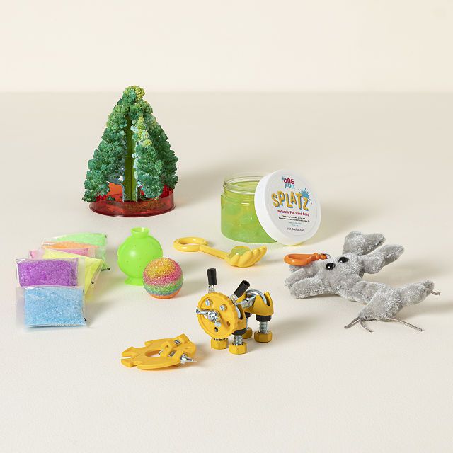 Stocking Stuffers for Kids Scientists | UncommonGoods