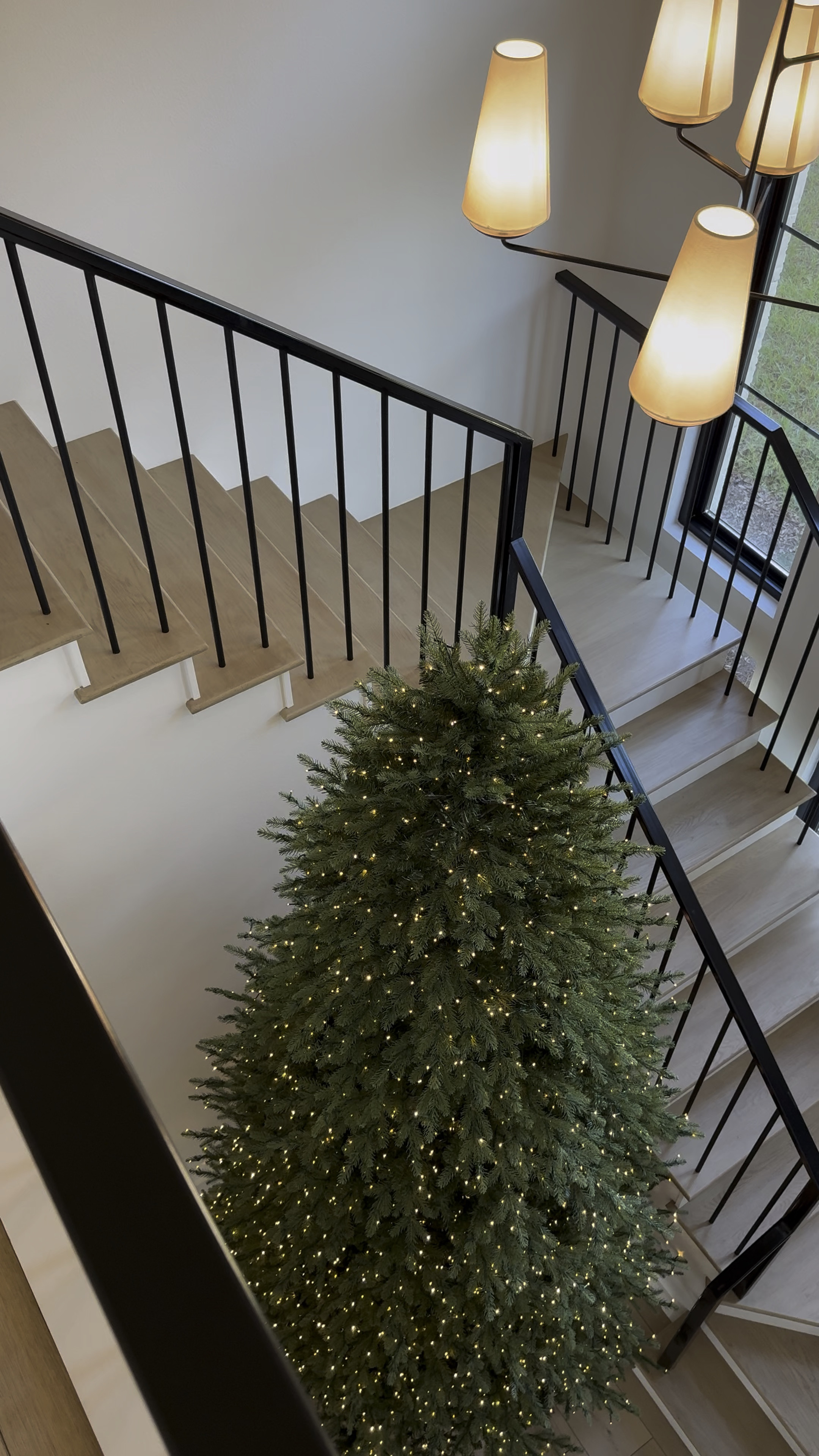 Christmas Tree 🌲 

#LTKSeasonal #LTKHoliday #LTKHome