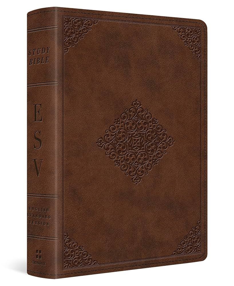 ESV Study Bible, Personal Size (TruTone, Saddle, Ornament Design) | Amazon (US)