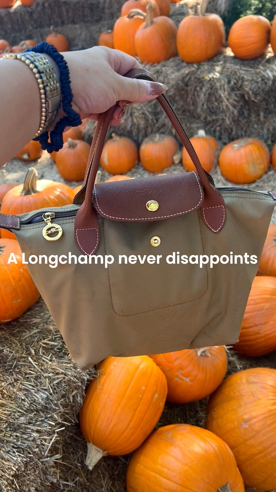 The Longchamp small Pliage bag is perfect for a day at a fall
Festival or Pumpkin Pat! 

#LTKSeasonal #LTKItBag #LTKOver40
