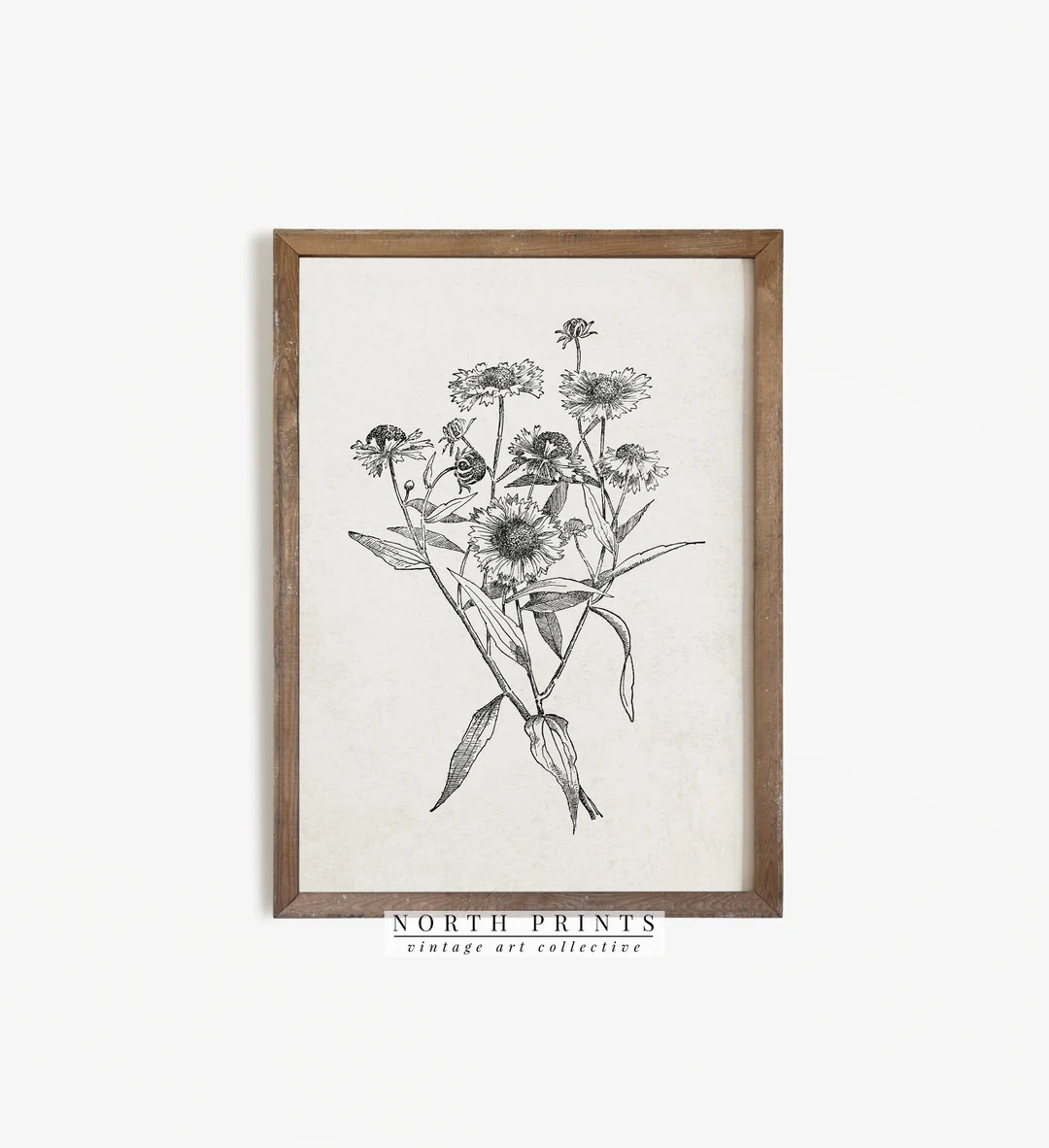 Antique Wild Flower Sketch Print  Simple Vintage Country Wall - Etsy | Etsy (US)