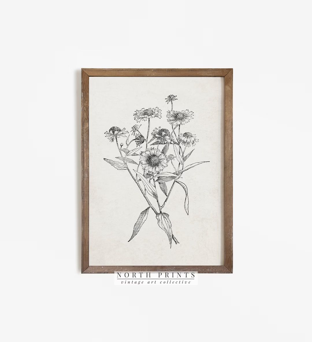 Antique Wild Flower Sketch Print  Simple Vintage Country Wall - Etsy | Etsy (US)