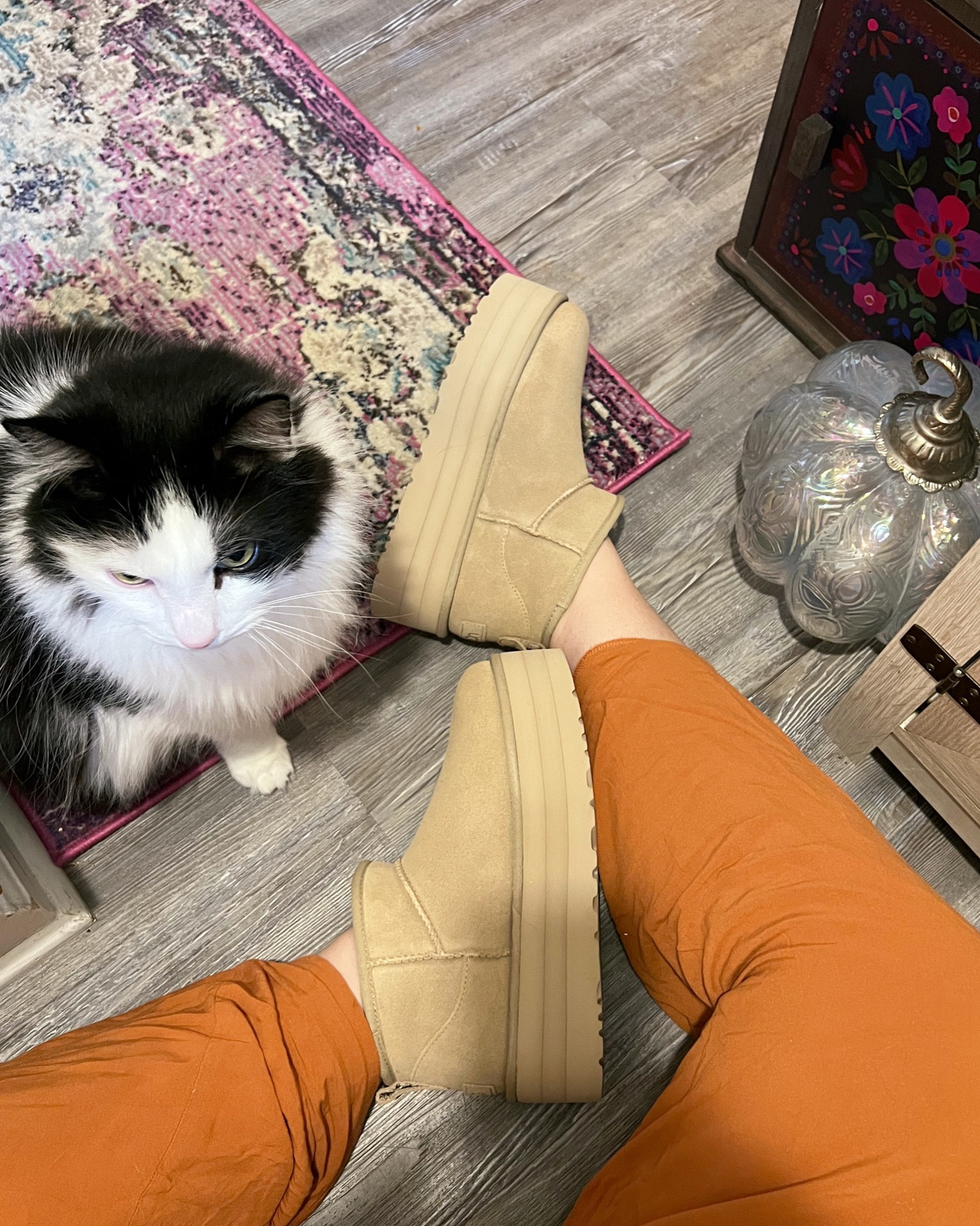 Ugg Ultra Mini Platform in Mustard Seed