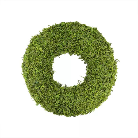 Northlight 13.7" Reindeer Moss Artificial Floral Spring Wreath - Unlit | Target