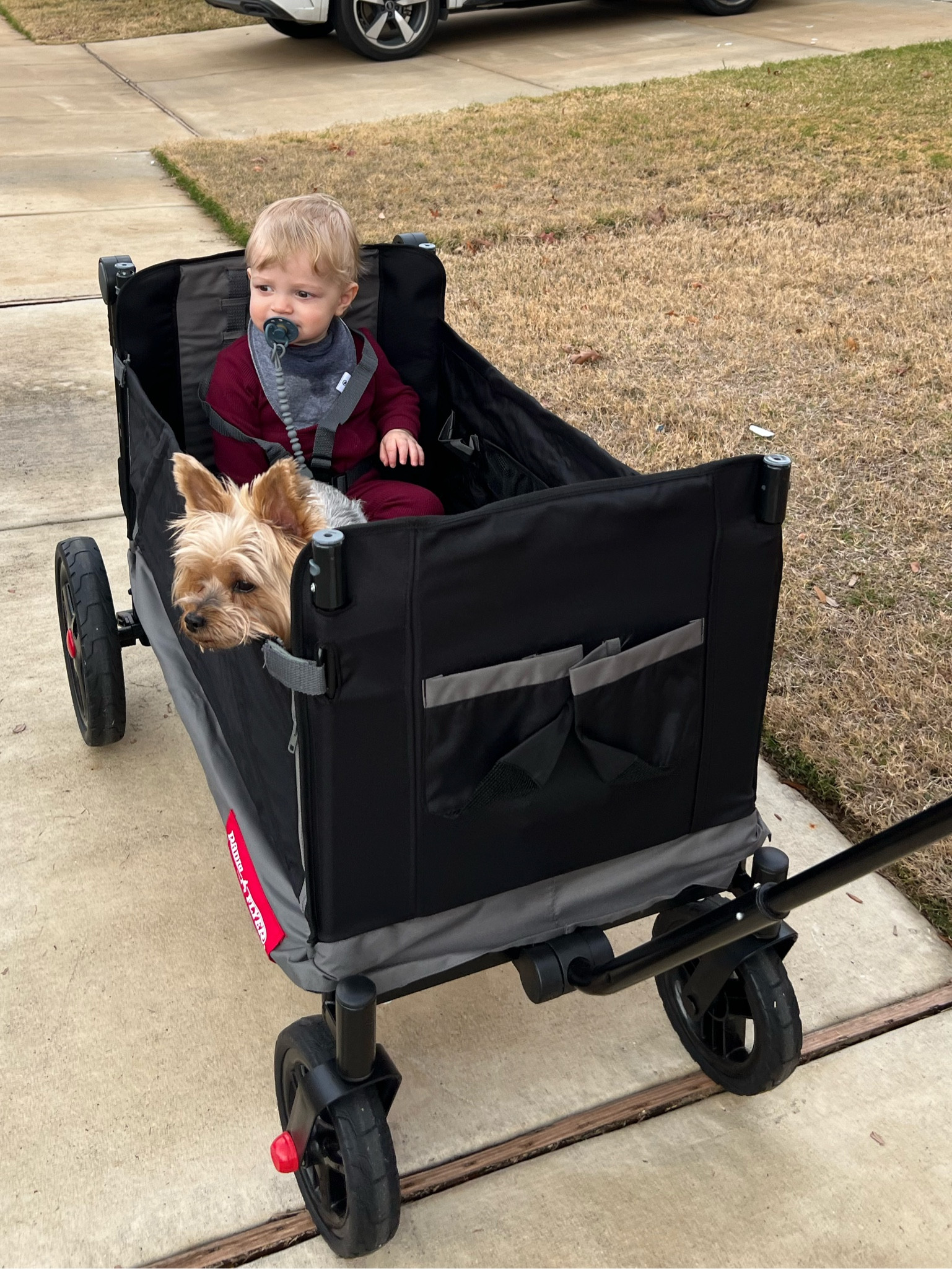 This wagon is so great for kids and pups! It folds up easily and has a canopy cover for sun protection! 

#LTKkids #LTKbaby #LTKGiftGuide