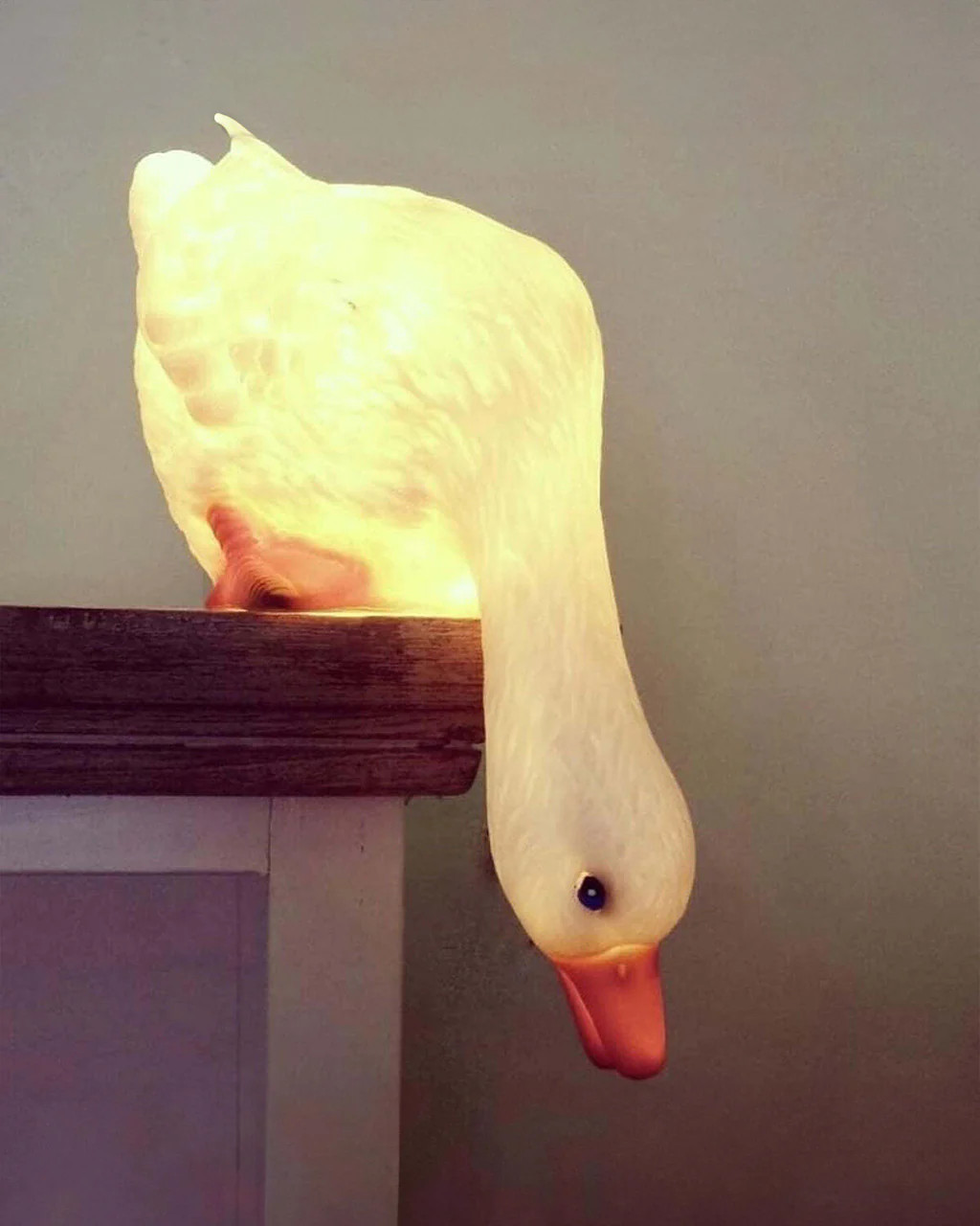 Duck Looking Down Lamp | ban.do