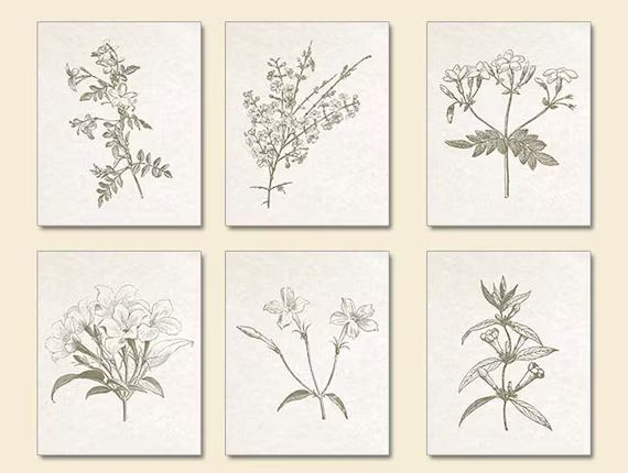 Botanical Prints, Sepia Brown, Botanical, Botanical Plates, Jasmine, Jasmine Prints, Floral, Wall Ar | Etsy (US)