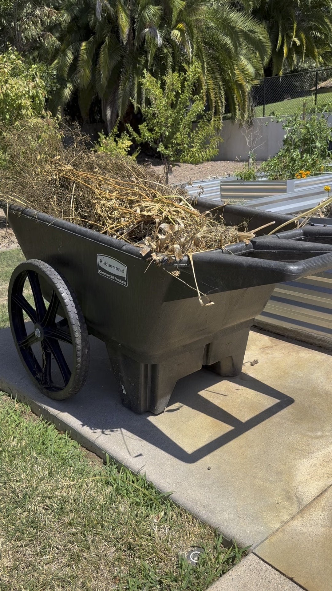 Sturdy, spacious, and easy to maneuver! Perfect for yard work, gardening, or hauling heavy loads. The big wheels roll smoothly on different surfaces and the durable build holds up great outdoors.

#LTKHome #LTKmorningroutine