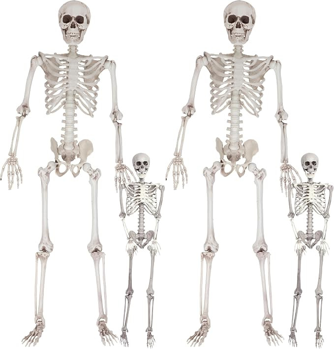 Life Size Human Skeleton Halloween Decoration Value 4 Pack- Adult 5' 4" & Child 2' - Articulated ... | Amazon (US)