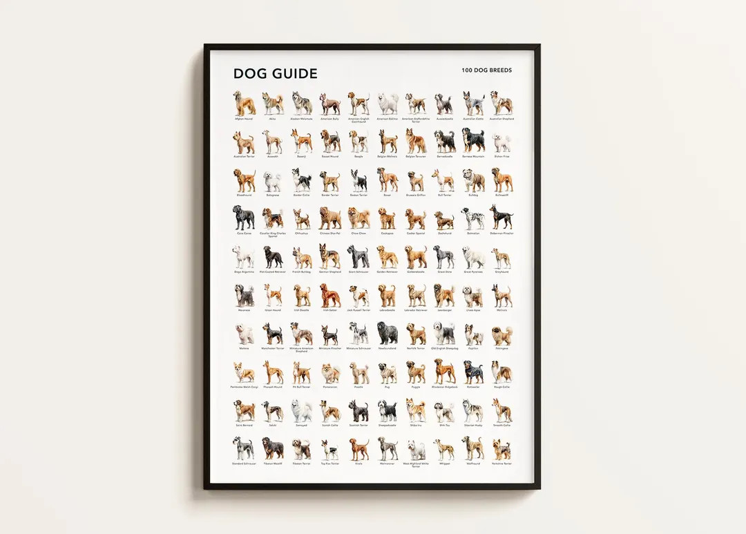 Dog Breeds Poster, 100 Dogs Infographic Art (downloadable) - Etsy | Etsy (US)