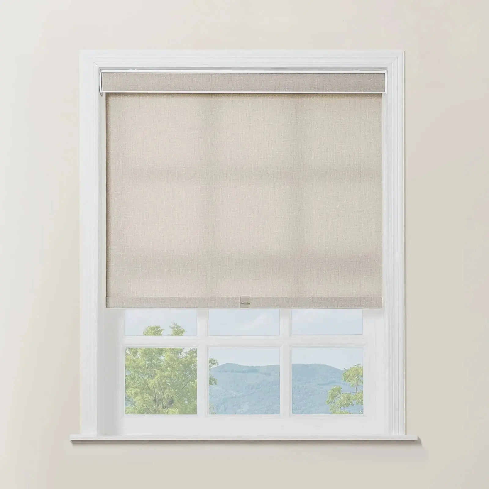 Alvin Boutique Room Darkening Cordless Roller Shades | TWOPAGES
