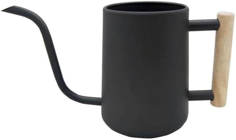 Watering Can Indoor Plants, 35 oz/1000 ml Metal Stainless Steel Watering Can Pot with Long Spout ... | Amazon (US)