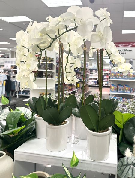 I am obsessed with this Small Potted Orchid I found from Threshold at #Target.  It is now 30% as part of Target Circle week and I ordered one last night! 
