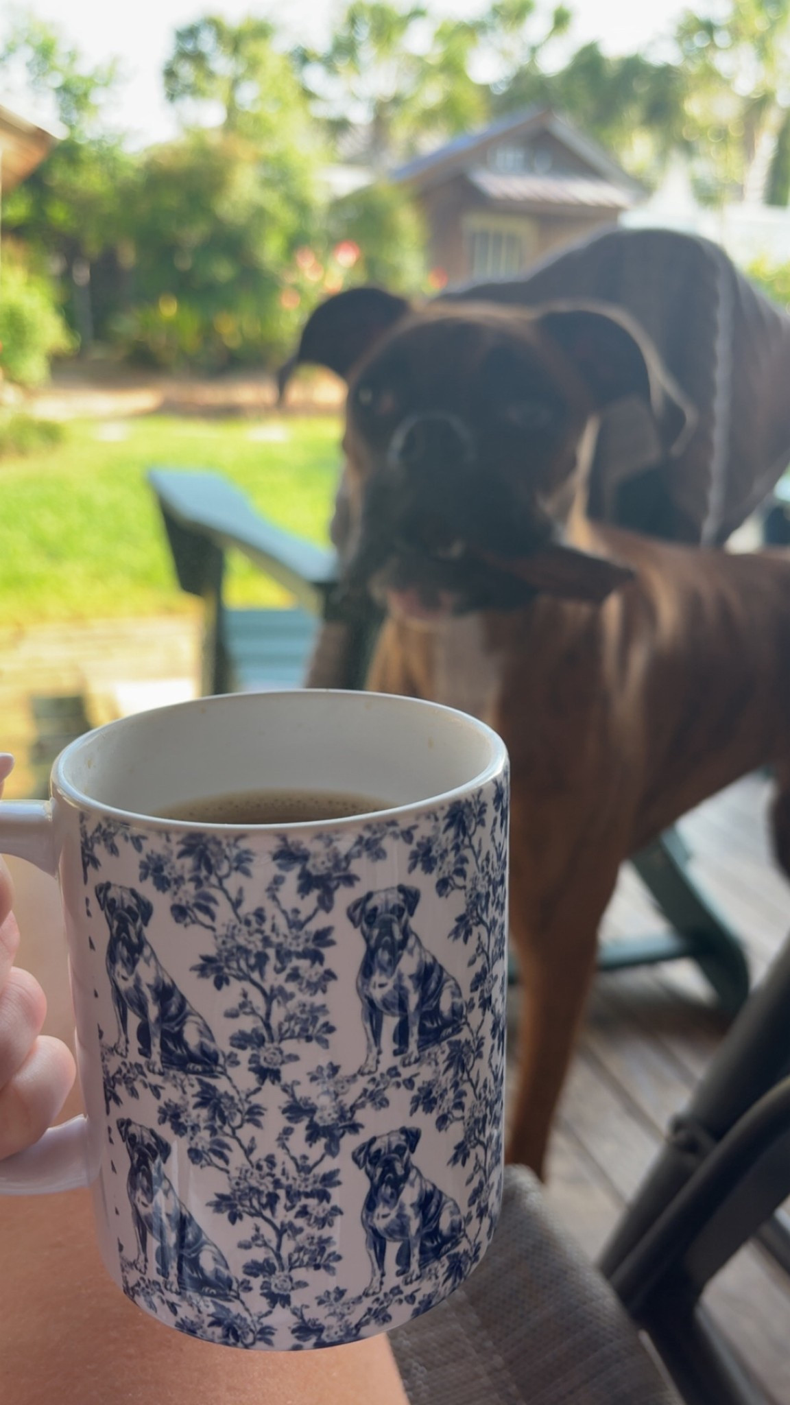 Boxer dog coffee mug 

Has other breeds of dogs as well 

#LTKHome #LTKGiftGuide