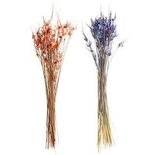 Assorted Star Grass Bundle by Ashland® | Michaels Stores