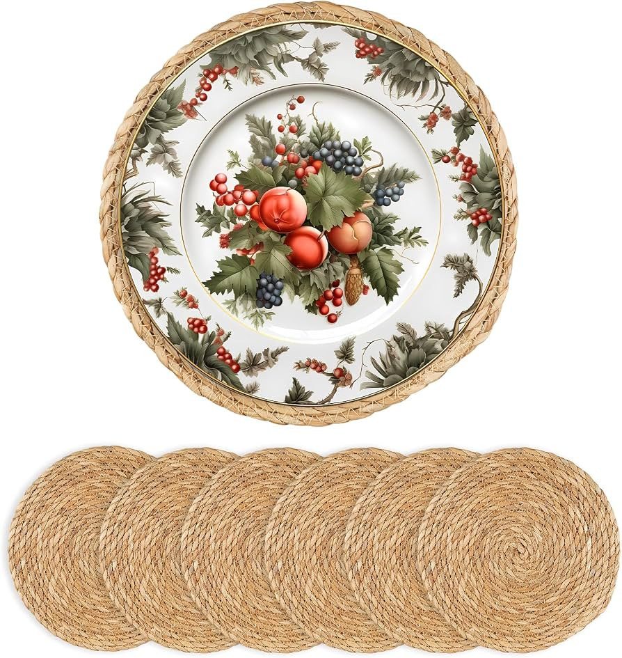 Round Woven Placemats - Boho Rattan Placemats Natural Water Hyacinth Farmhouse Weave Place Mats, ... | Amazon (US)
