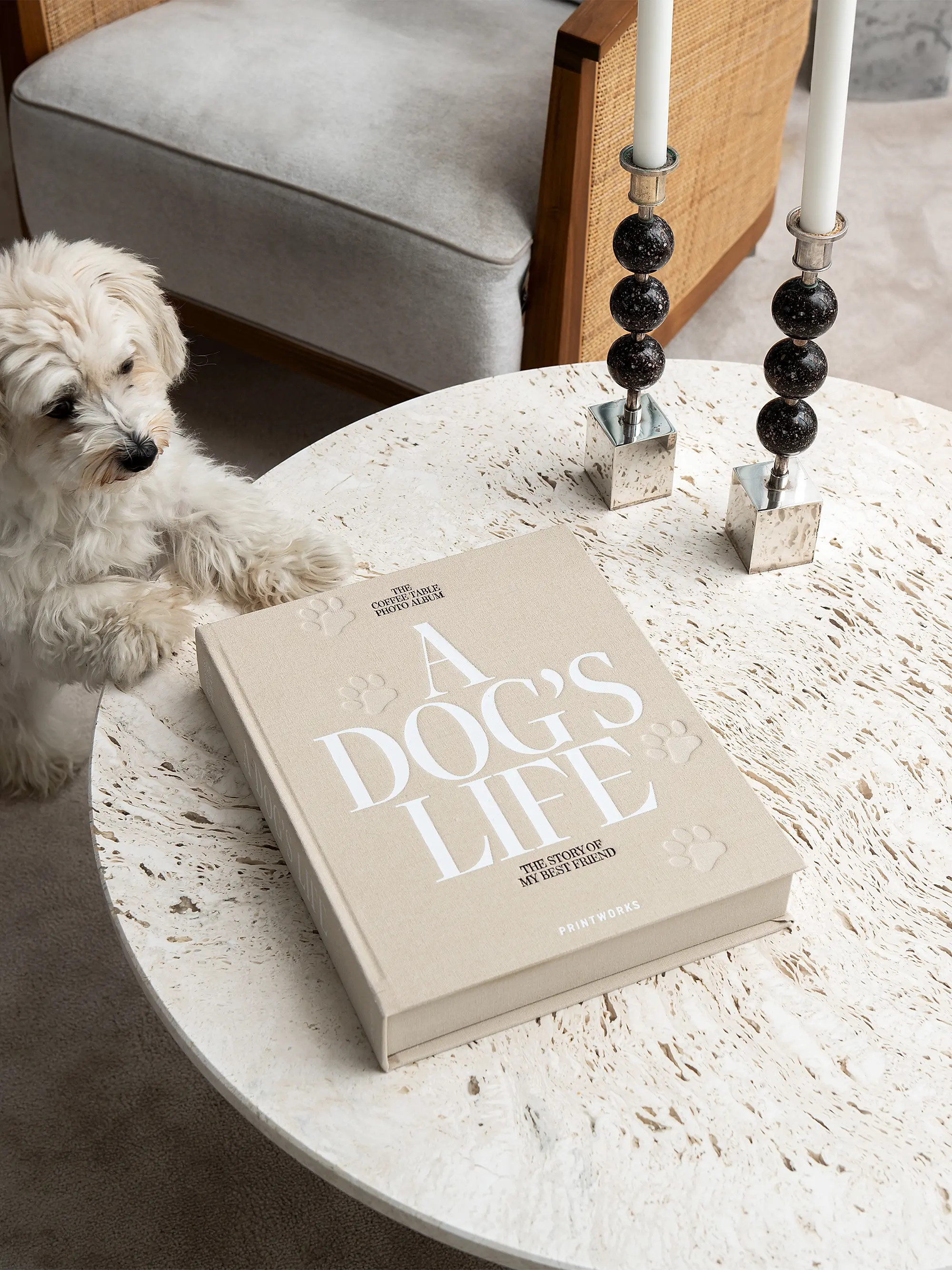 Dog Album - A Dog's Life | Saks Fifth Avenue