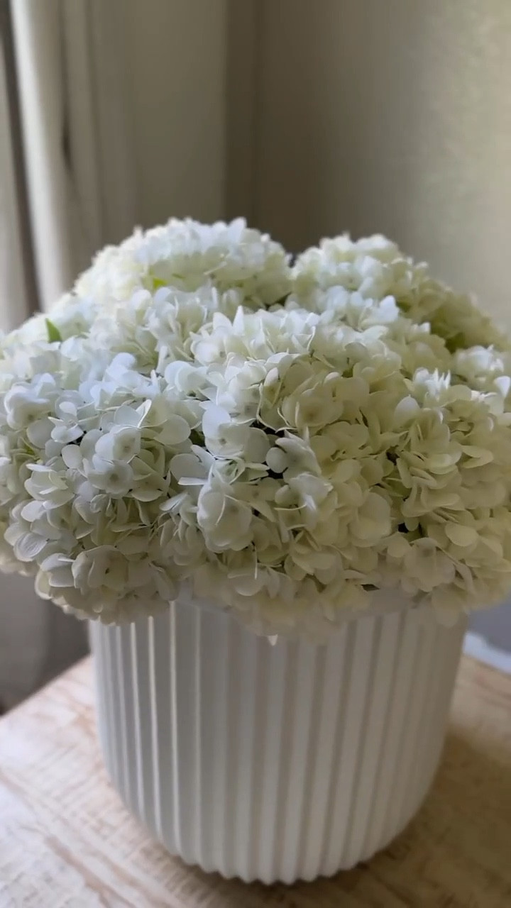 Walmart Home Best-Sellers ✨ Shop what's trending!

#LTKhome #walmartfinds #walmarthome #bestsellers #homedecor #ltkit #affordabledecor

#LTKSeasonal #LTKHome #LTKdayinmylife