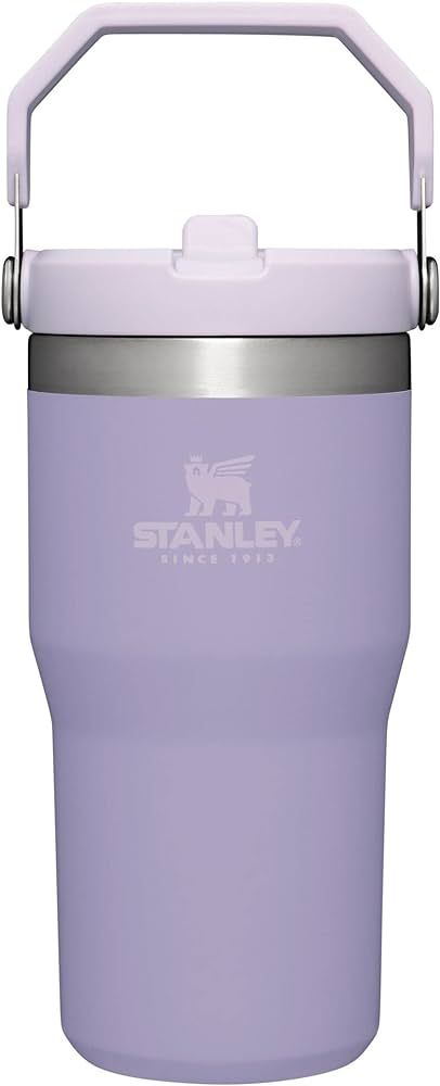STANLEY IceFlow Stainless Steel Tumbler with Straw, Vacuum Insulated Water Bottle for Home, Offic... | Amazon (US)