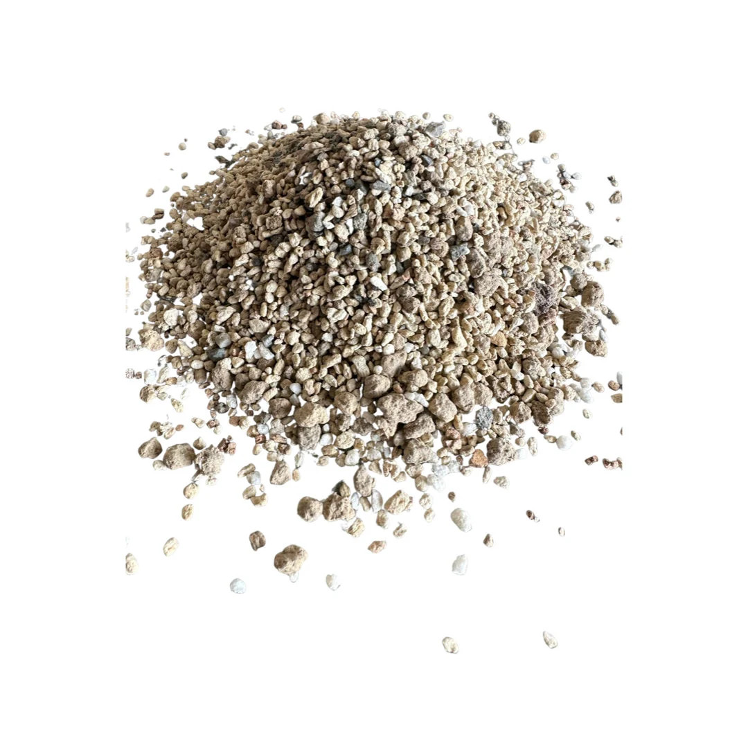 Cali-Bon Japanese Cactus & Succulents Soil Mixed with Heated Adakama, Ezo Pumice, River Sand | Etsy (US)