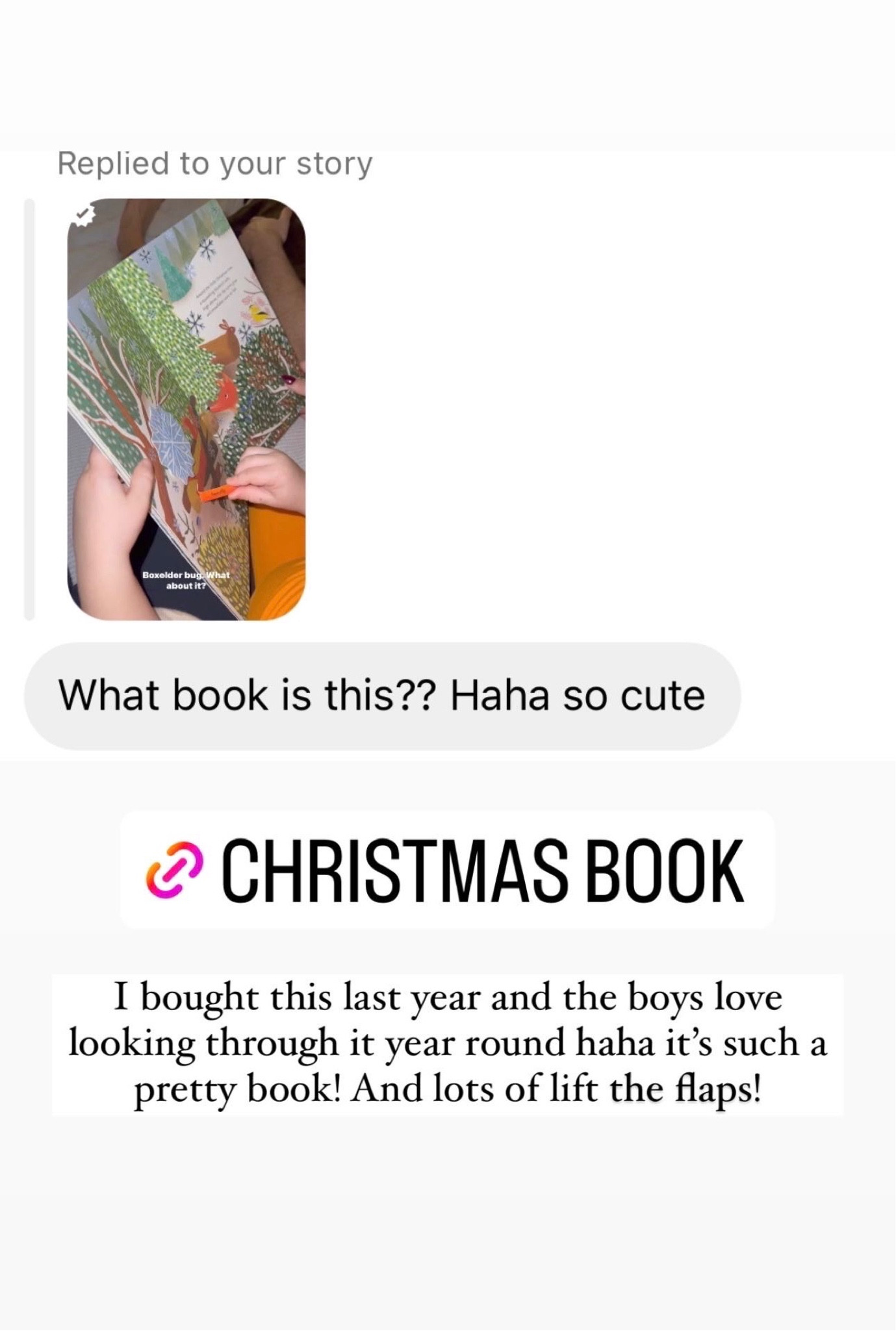 Lift the Flap Christmas Book 🎄

#LTKHoliday #LTKGiftGuide #LTKkids