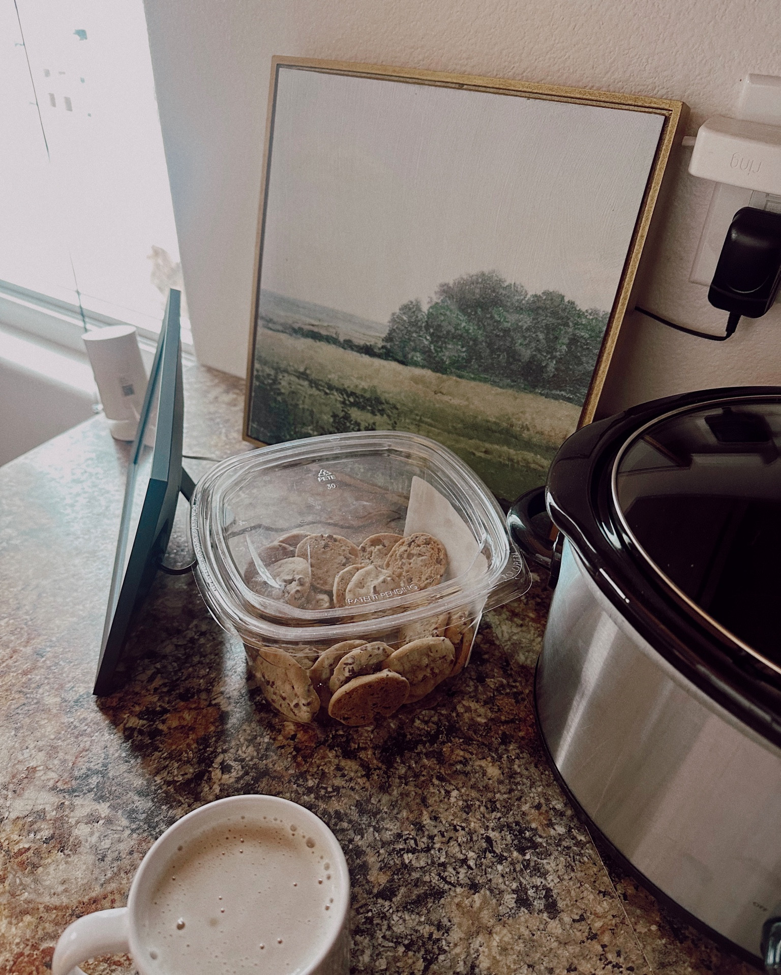 Vintage painting wall art, reminds me of TX ⭐️🥹 under $10!! 

#LTKfindsunder50 #LTKhome #LTKsalealert