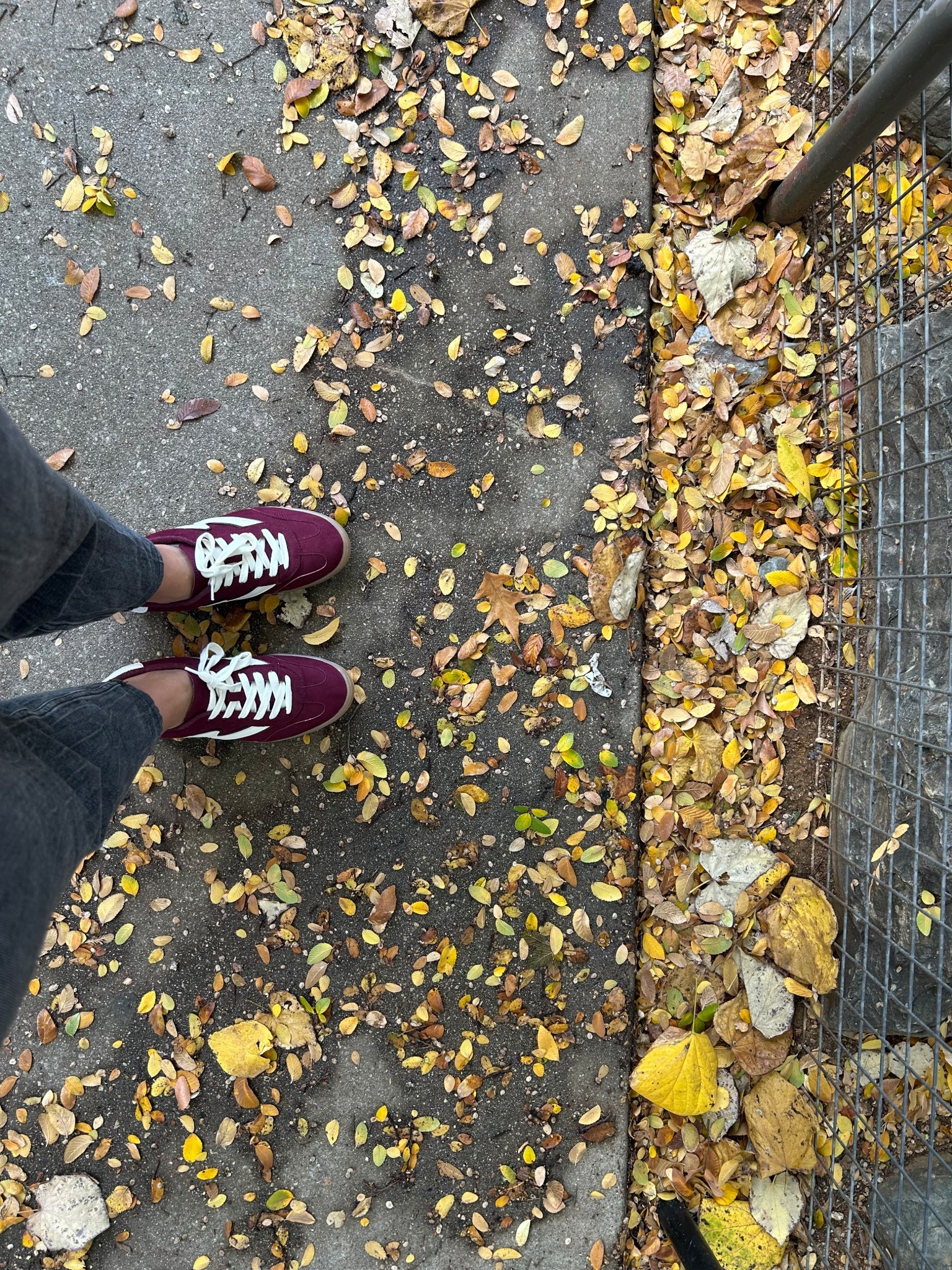 fall = find all the cool sneakers 🤎 #thanksgiving  #sneakers 

#LTKShoeCrush #LTKSaleAlert #LTKGiftGuide