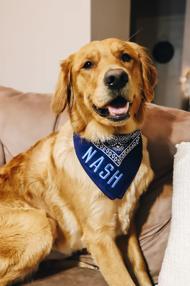 NASH Bandana [Navy/Light Blue] | The NASH Collection