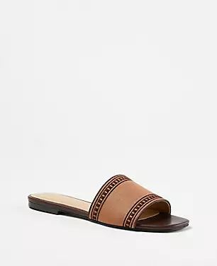 Embroidered Linen Slide Sandals | Ann Taylor (US)