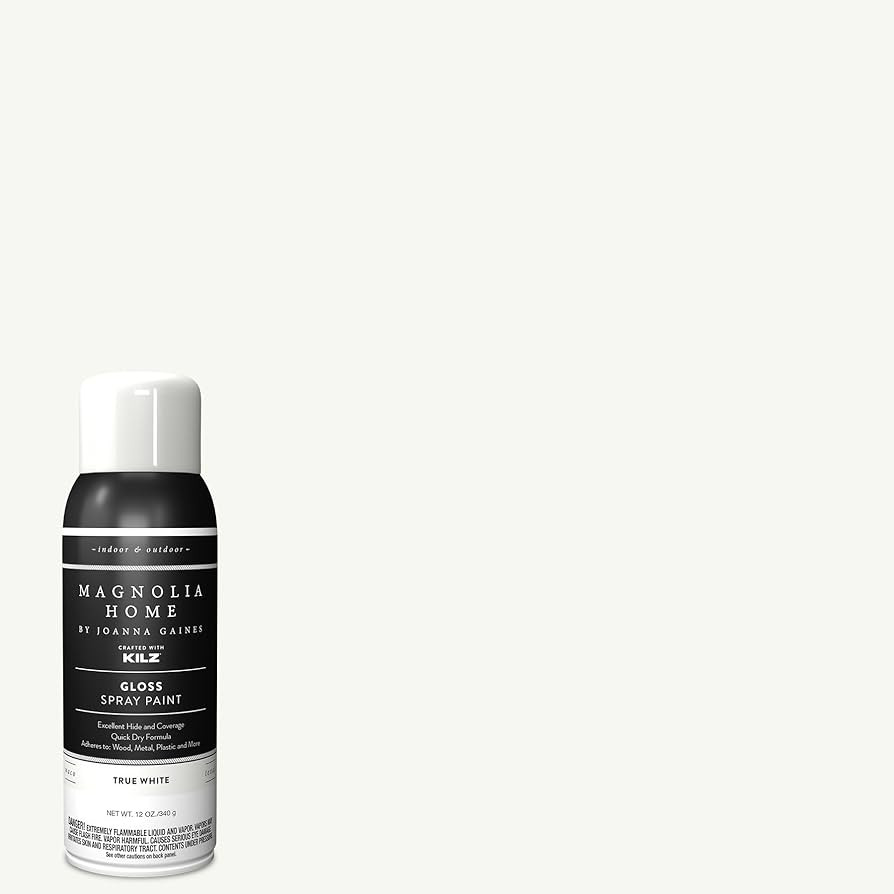 Magnolia Home by Joanna Gaines Enamel Interior/Exterior Spray Paint for Small Projects, Gloss, TR... | Amazon (US)