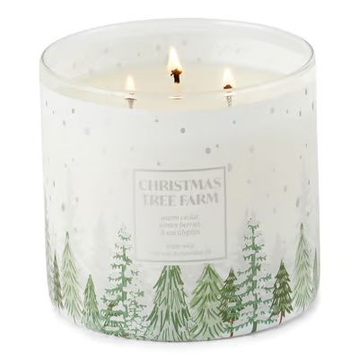 Distant Lands 14 Oz. 3 Wick Christmas Tree Farm Jar Candle | JCPenney