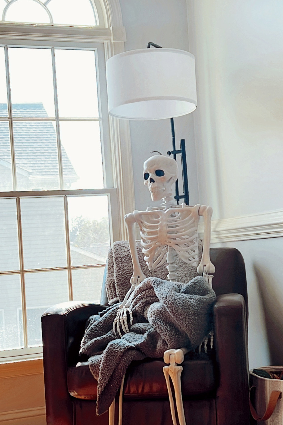 Adopt your own skelly! On sale now target skeleton .. Halloween sale 

#LTKHalloween #LTKfindsunder50 #LTKsalealert