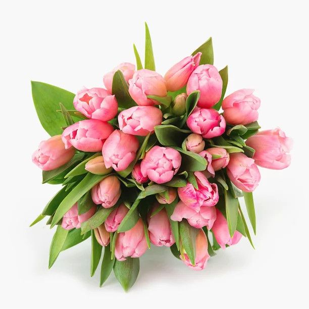 BloomsyBox: Bouquets Princess Pink Tulip,  25 Stunning Stems, Bright Pink Tulip, Fresh Cut Flower... | Walmart (US)
