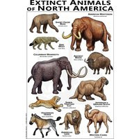 Extinct Animals Of North America Poster | Etsy (US)