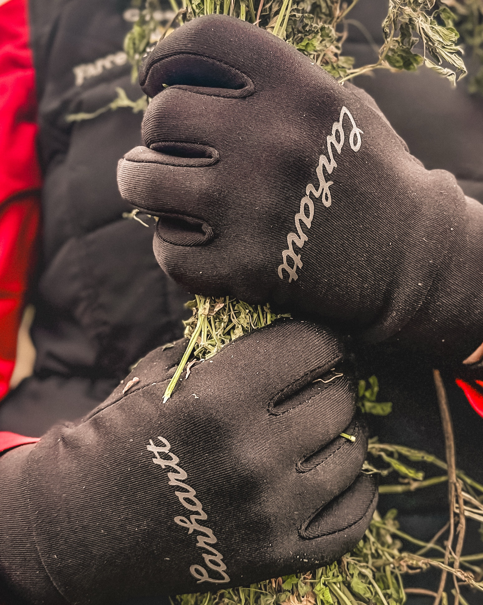 I have worn a lot of gloves in my day and my absolute favorite are the Carhartt Iris. The last pair I bought lasted three years. They wash up easy are soft and dexterous, and I can still use touchscreen with them. 

Pro tip, sure sometimes my hands still might get chilly, but I just keep a set of hand warmers in my pockets. It makes chores way easier than wearing bulky gloves. #gloves #carhartt # farmlife

#LTKU #LTKActive #LTKSeasonal