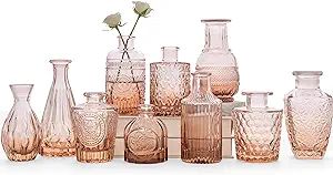 Amber Glass Bud Vase Set of 10 - Small for Flowers, Bud - in Bulk, Cute Mini Vintage Vases for Ce... | Amazon (US)