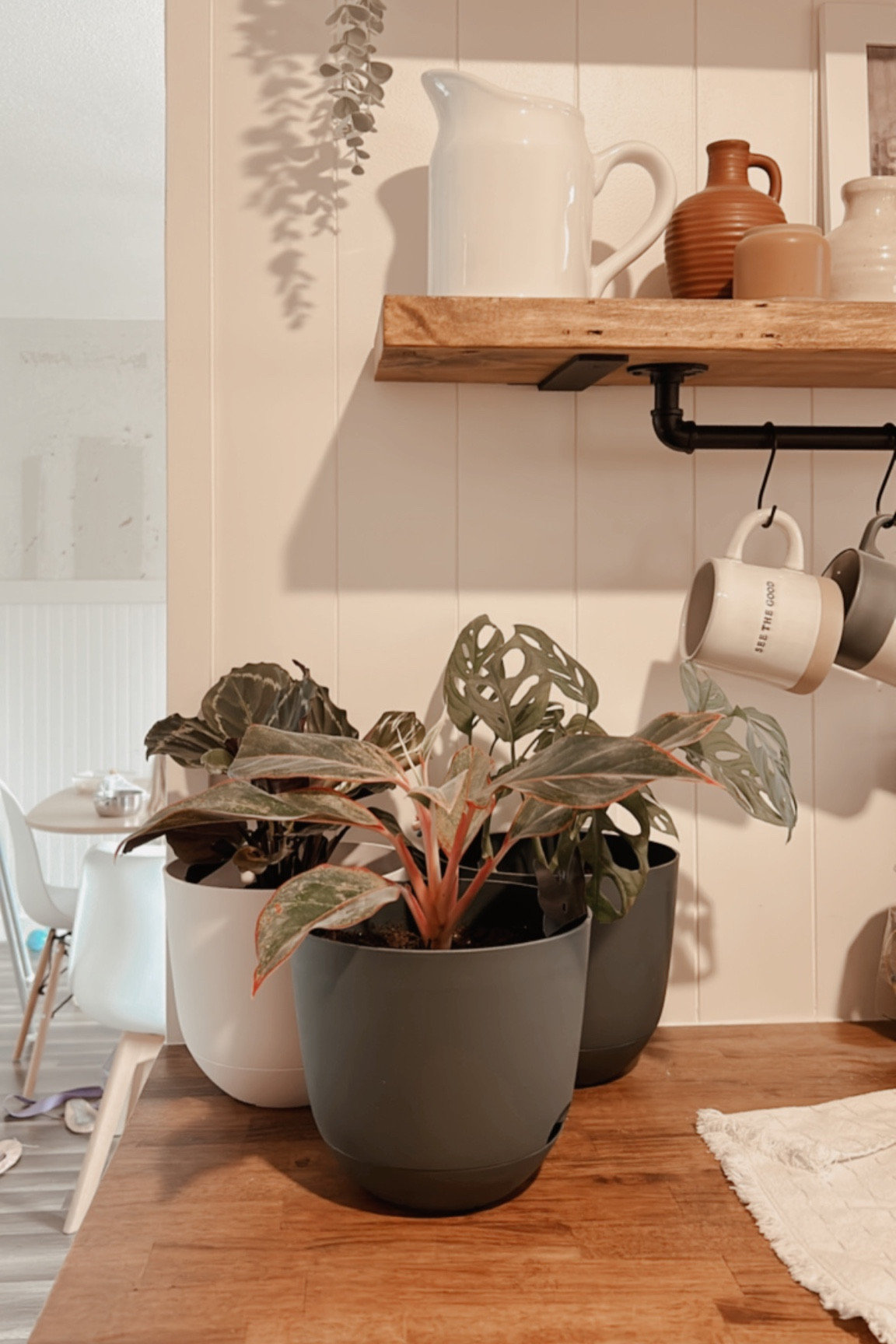 My favorite pots are on sale!! 🤯

#LTKhome #LTKsalealert #LTKSeasonal