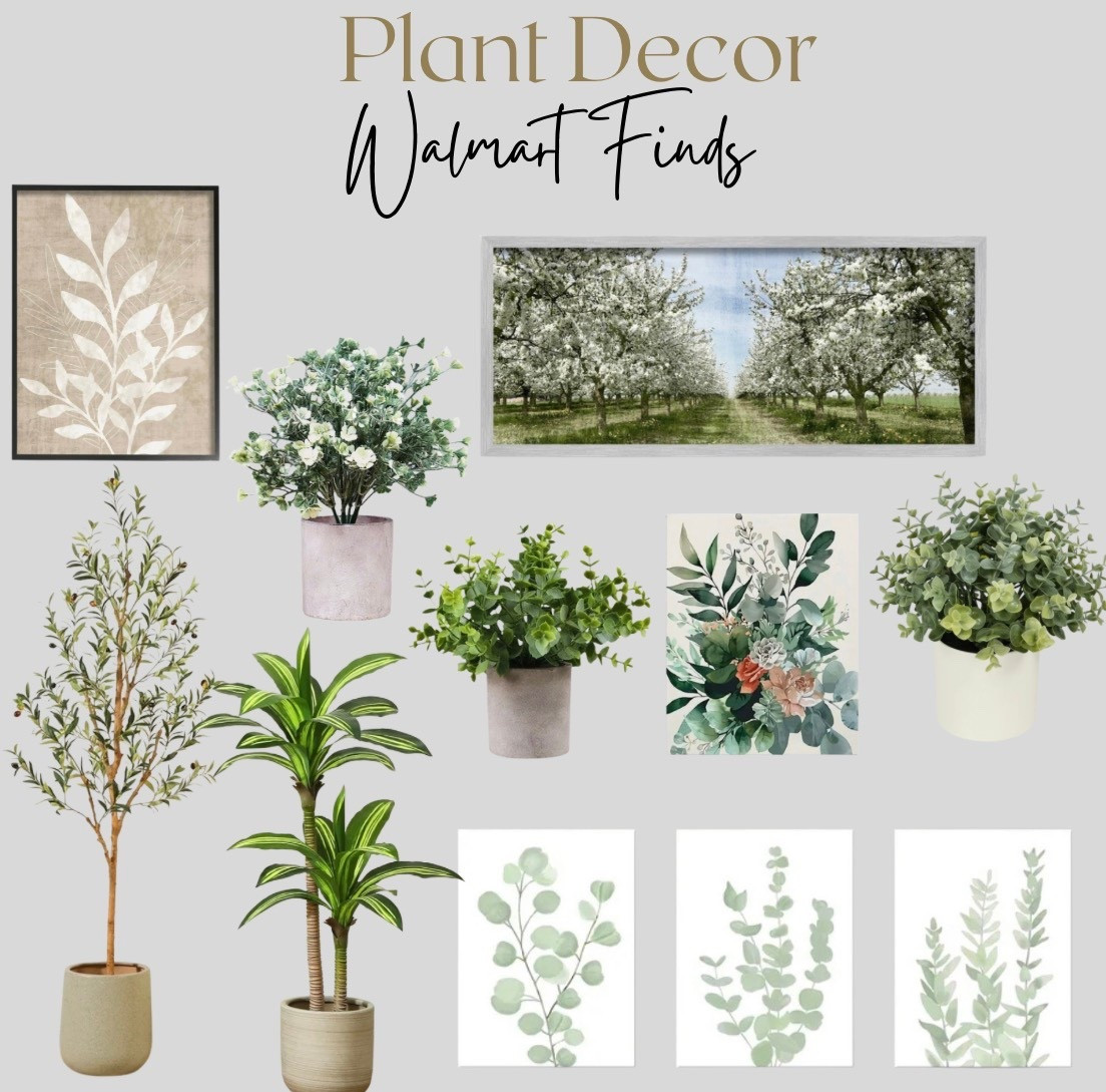 Plant Decor Walmart Finds

#LTKSaleAlert #LTKHome #LTKFindsUnder50