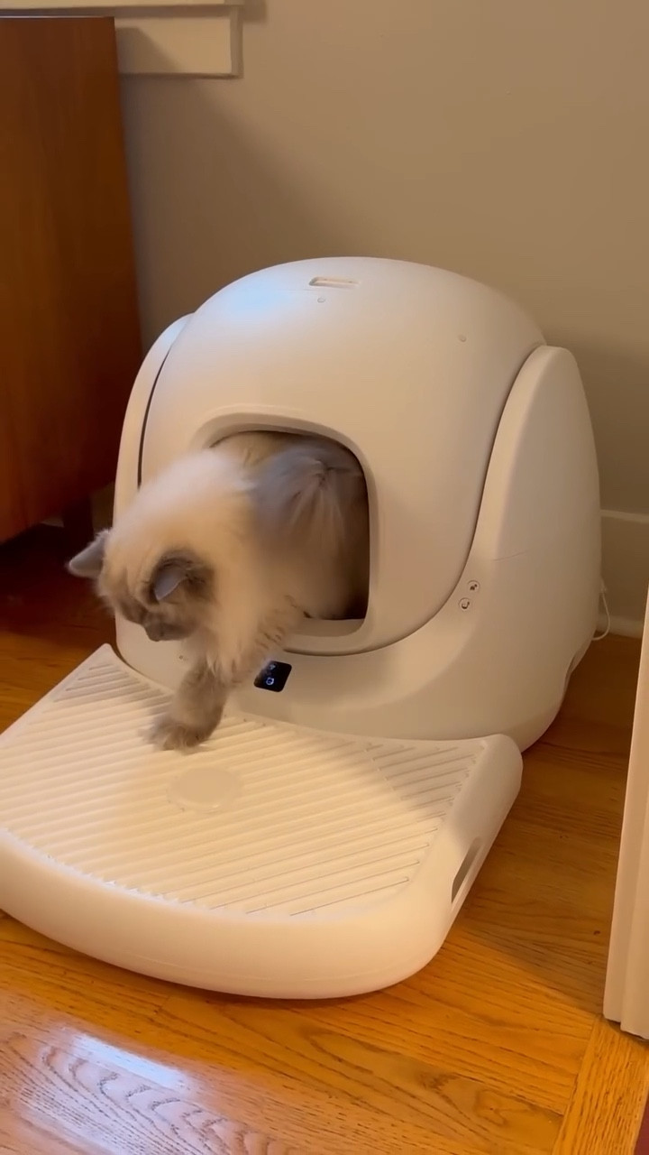 This Catlink Scooper SE litter box is genius #cats #petproducts #litterbox #ad