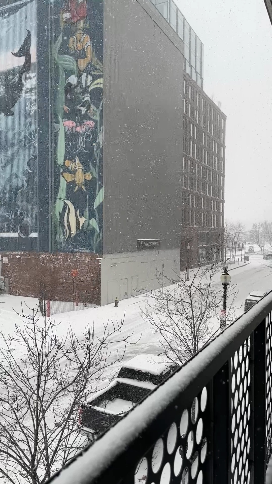 cozy inside as the north east gets hit with so much snow ❄️ 

#LTKootd #LTKHome #LTKSeasonal