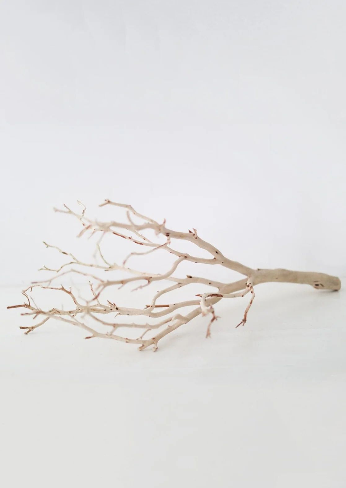Dried Decor Sandblasted Manzanita Branch - 34-38 | Afloral