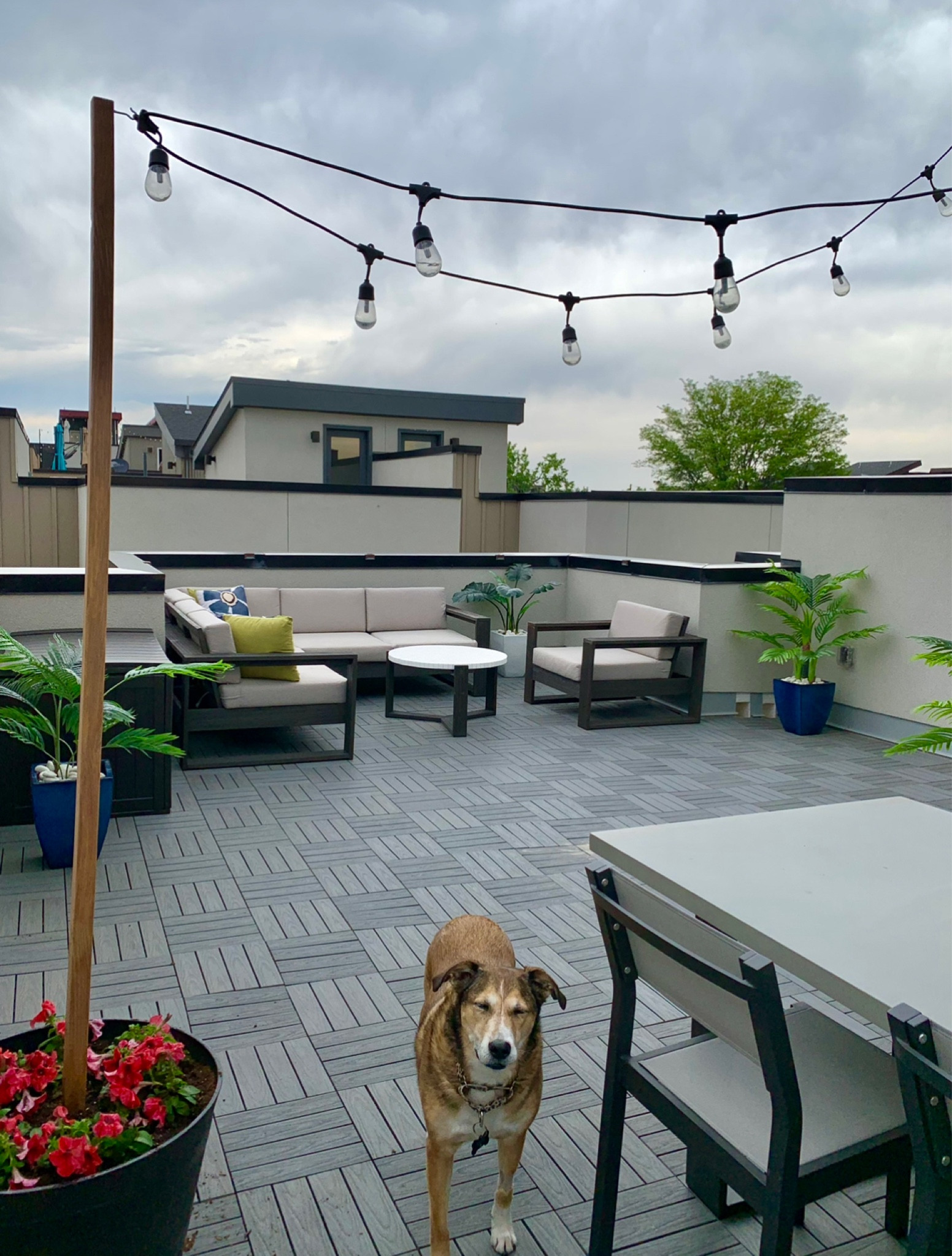 Get ready for spring and summer with new outdoor furniture 🌱 

Outdoor lounge sectional and chair
Outdoor dining table and chairs
Artificial palm plants with colorful planters
Outdoor solar powered string lights

Perfect outdoor oasis for your backyard, rooftop or patio ☀️ 

#LTKSeasonal #LTKFind #LTKhome