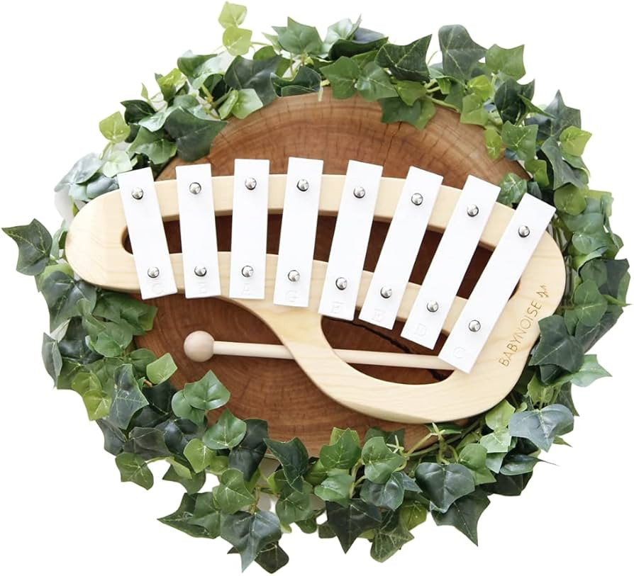 Babynoise Xylophone for Kids and Toddlers | Wooden Percussion Musical Instrument Toy for Boys & G... | Amazon (US)