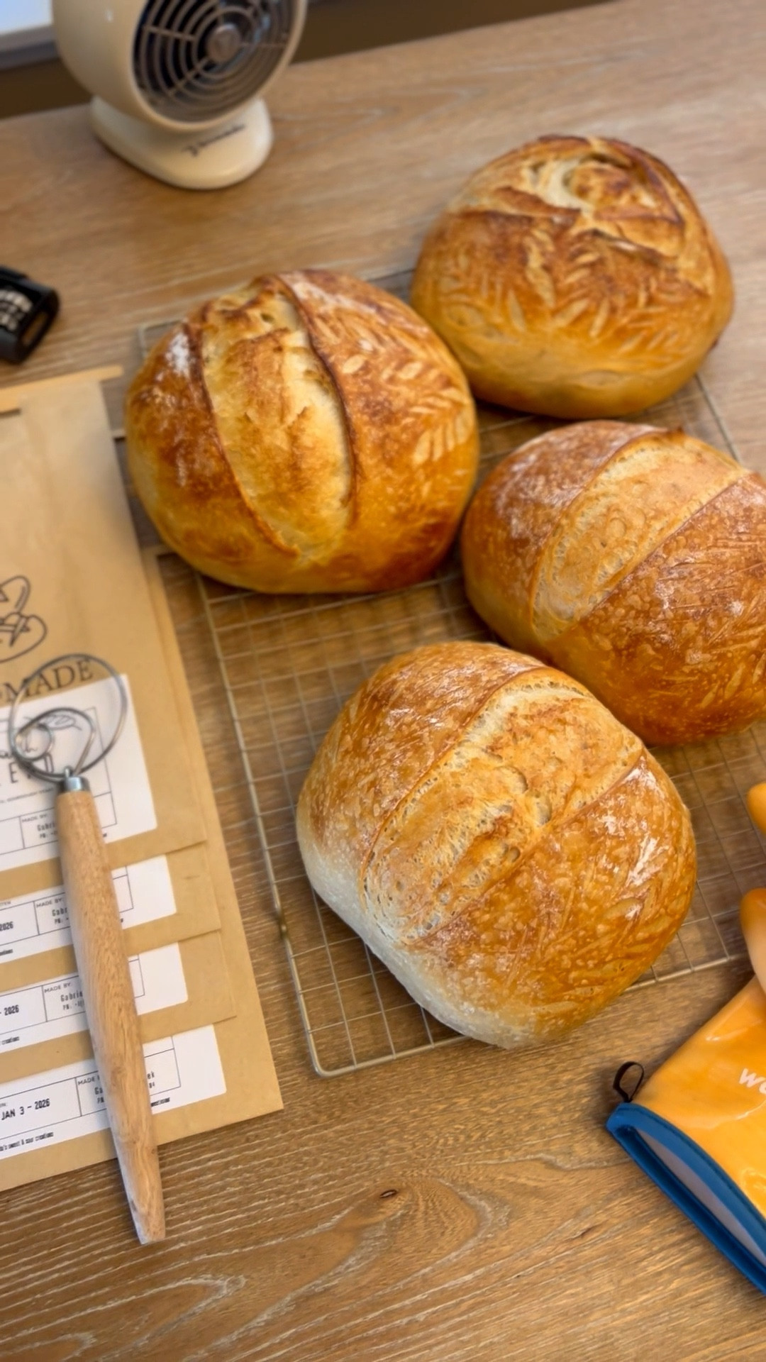 Still in my Sourdough bread era! Today we have plain sourdough & croissant sourdough bread on the menu!! Gut health. Gut healthy food. 
Freshly baked out of the oven. Sourdough bread. Everything you need for a sourdough bread making & baking linked. 
Follow this easy 8 hours recipe which makes 2 loaves!
680g  lukewarm filtered water
250g active bubbly sourdough starter
1000 g bread flour (I’m using King Arthur bread flour)
25 g salt

Prepare Dough:
1. In a large mixing bowl, place 250g of active sourdough starter.
2. Zero out the scale and add 685g of warm filtered water. Mix until the starter is dissolved.
3. Add 1000g of flour and 25g of salt. Mix with hand until the dough is the same consistency and there are no pockets of dry flour remaining.
Stretch and Folds:
1. Portretech and let every 30 minutes for four rounds.
Bulk Fermentation:
6. Atethes by to 8, inste duste my aike l gerthan the ounter for two hours until it.
7. Lightly flour the counter. Split the dough in half.
8. Shape the dough into a large rectangle, then fold one side toward the middle, and repeat with the other side. Roll up your dough into a ball shape. Shape it into a round ball by pushing your dough out in a circular motion and pulling in about 3-4 times (tucking in the underside). Let rest for 20
9. Perform the final shaping by repeating the steps you did in the first shape. Place your dough upside down (seam side up) into a floured banneton.
Proofing:
10. Cover your dough with a kitchen towel or plastic wrap and cold-proof in the refrigerator for 2 hours or up to 48 hours.
Baking:
11. Preheat the oven to 500°F (260°C) with a Dutch oven inside.
12. Once proofed, flip the dough onto parchment paper. Score the dough.
13. Place the dough with parchment paper into the preheated Dutch oven.
14. Bake covered at 500°F (260°C) for 35 minutes, then uncover and bake for another 10 minutes at
425°F (220°C).
15. Remove from the oven and cool for at least one hour before slicing.

#LTKKids

#LTKHome #LTKSeasonal #LTKGiftGuide