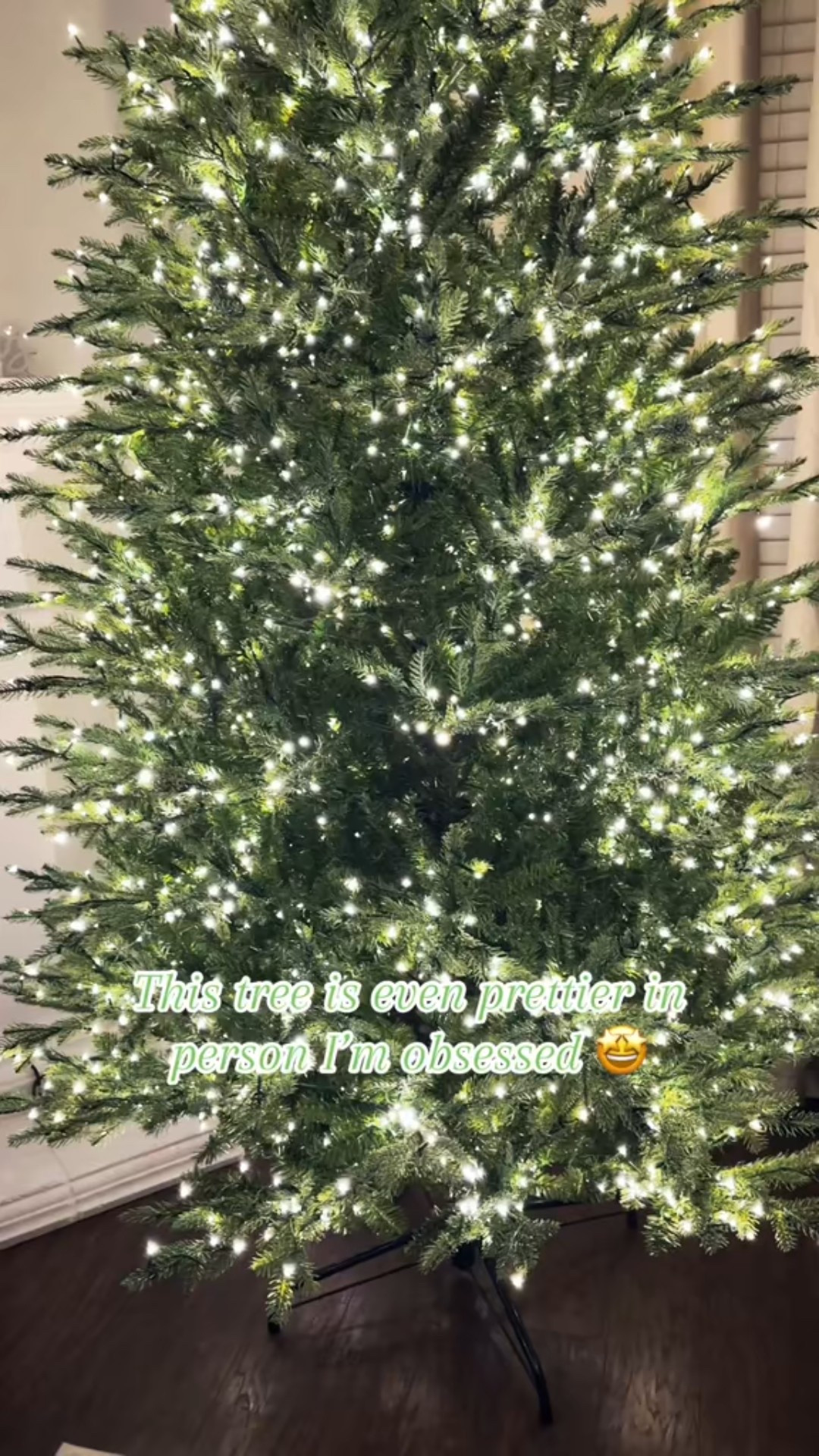 The prettiest tree ever is finally back in stock! I’ve had it for almost 2 years now and I’m still just as obsessed. 


#LTKSeasonal #LTKHome