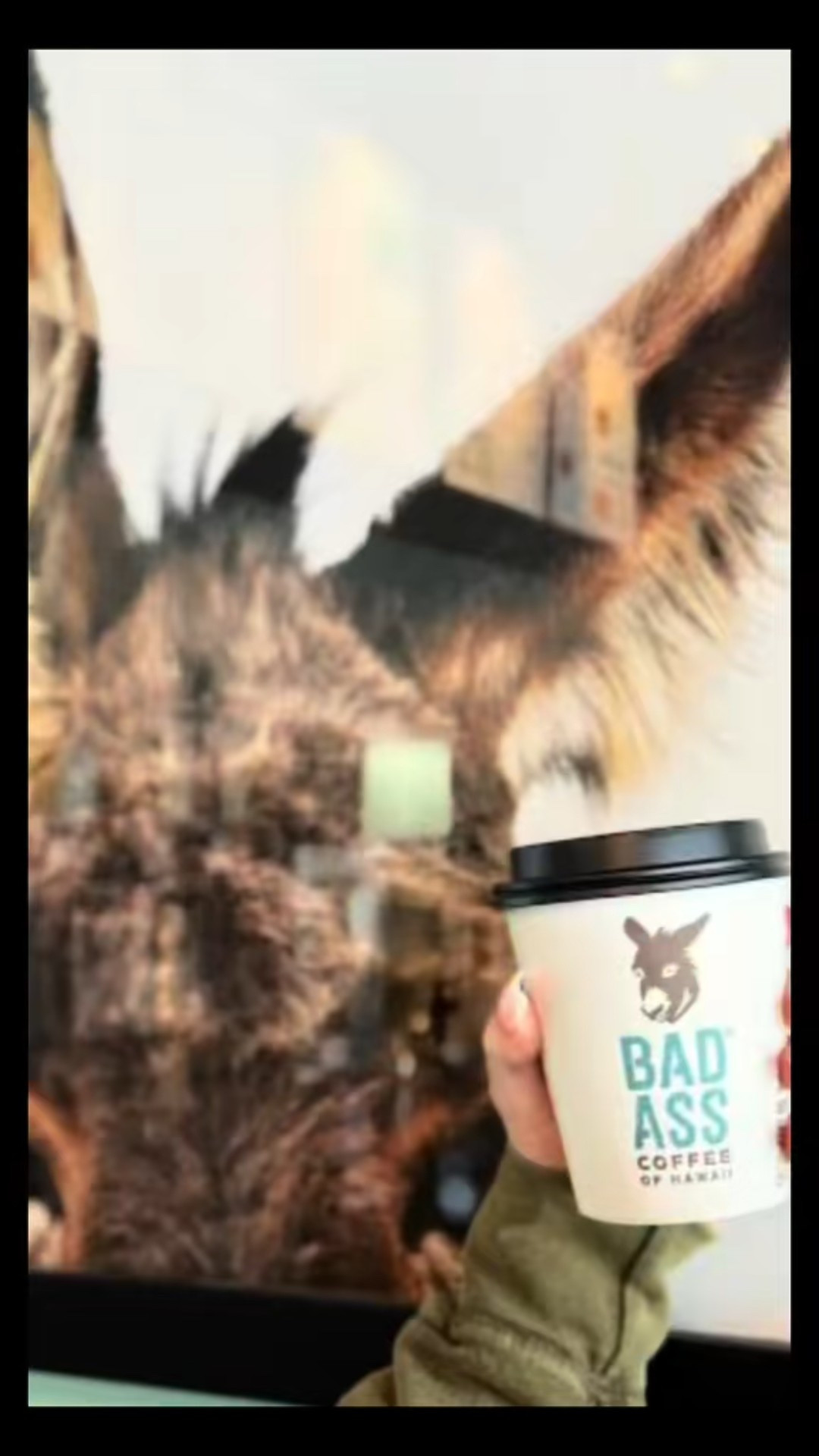 How to start your day like a BAD ASS ☕💪
Step 1: Fire up my Breville like a boss
Step 2: Add Perfect Aminos, Burn collagen, creatine & protein
Step 3: Sip coffee with Jesus 😌✝️
Step 4: Conquer the day

Faith. Foam. Fuel. Let’s go. 🔥


#LTKmorningroutine #LTKfitnessgoals