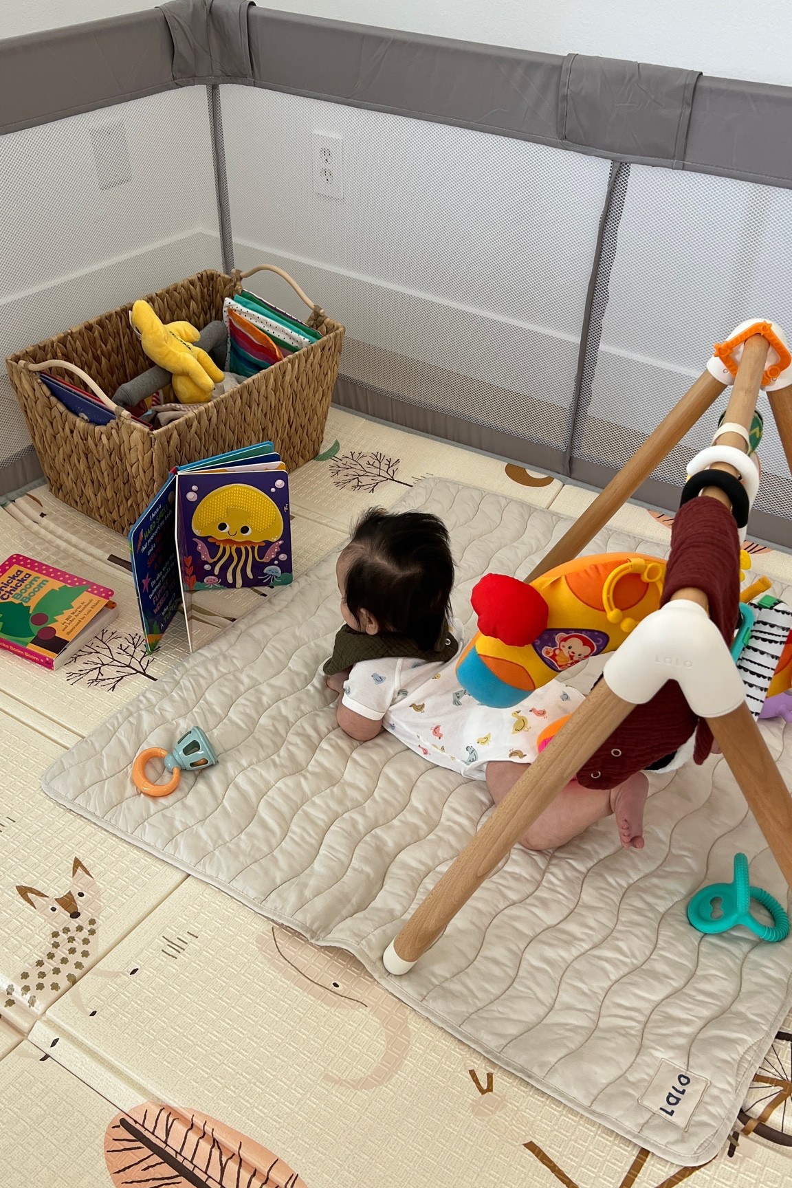 my baby’s playgym! to store all her toys and keep her inside when she starts crawling :) 

#LTKkids #LTKhome #LTKfamily